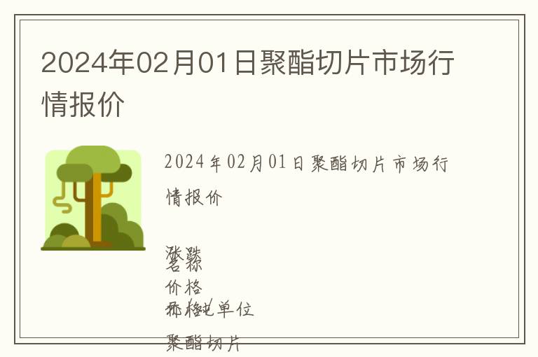 2024年02月01日聚酯切片市場行情報價