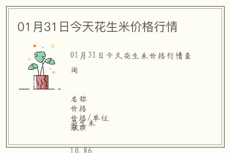 01月31日今天花生米價格行情