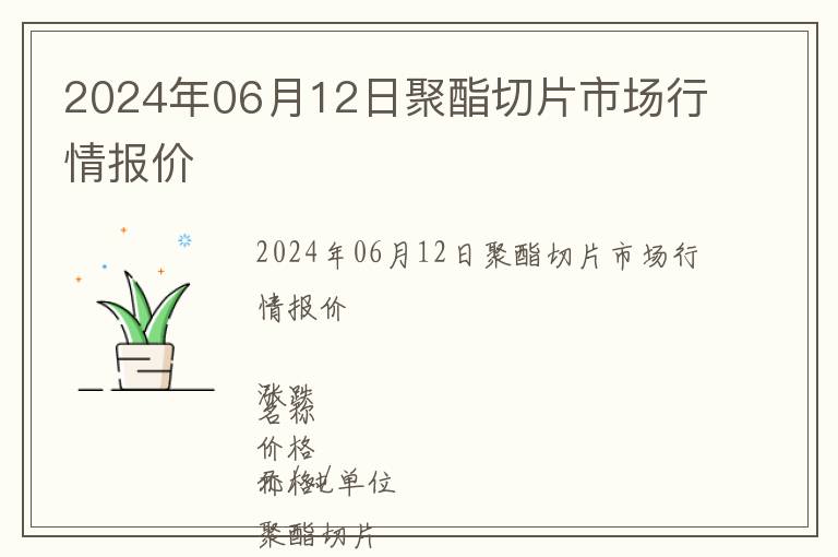 2024年06月12日聚酯切片市場(chǎng)行情報(bào)價(jià)