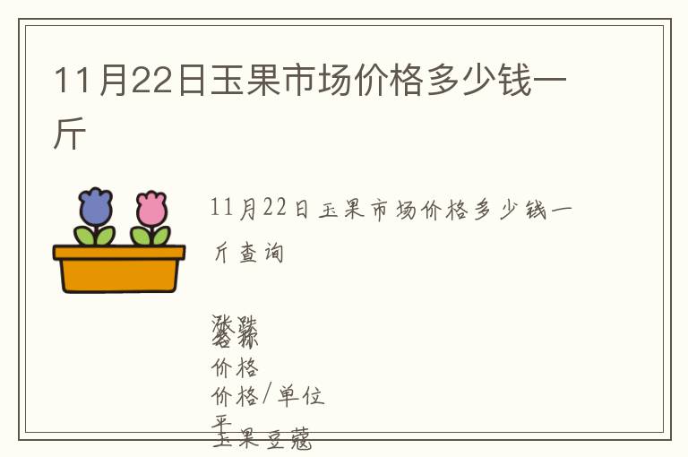 11月22日玉果市場價格多少錢一斤