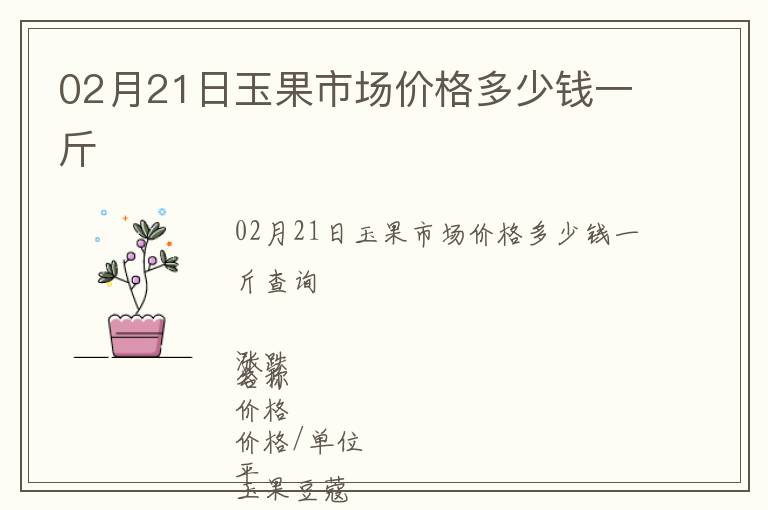 02月21日玉果市場價格多少錢一斤