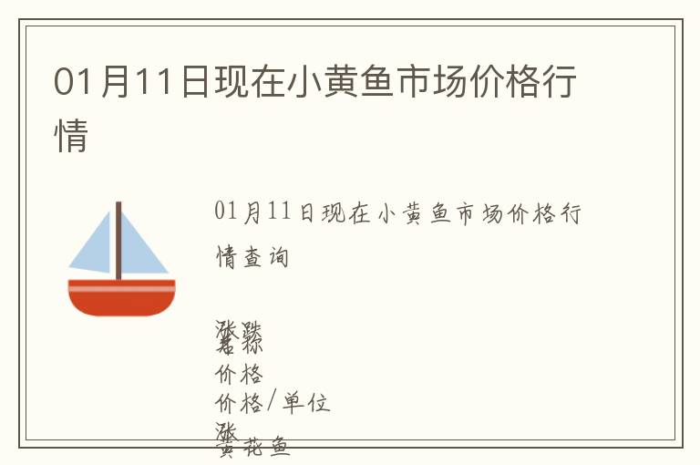 01月11日現在小黃魚市場價格行情