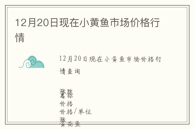 12月20日現在小黃魚市場價格行情