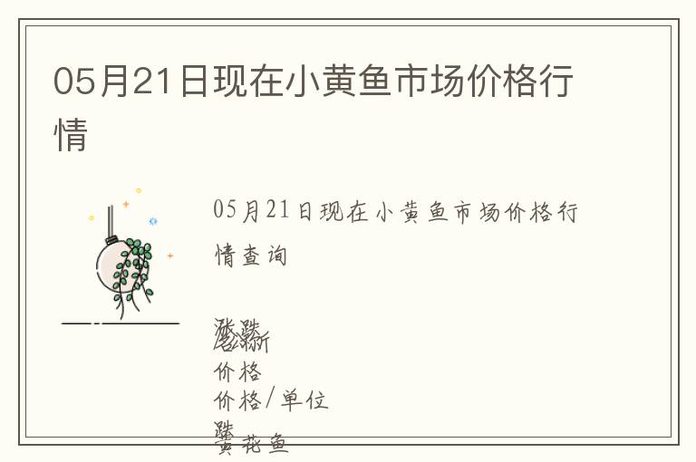 05月21日現(xiàn)在小黃魚市場價格行情