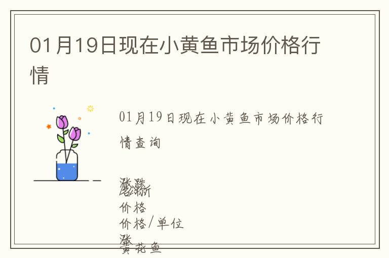 01月19日現(xiàn)在小黃魚(yú)市場(chǎng)價(jià)格行情