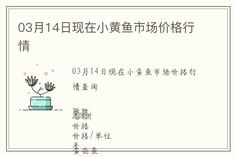 03月14日現在小黃魚市場價格行情