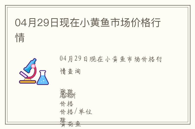 04月29日現(xiàn)在小黃魚市場價格行情
