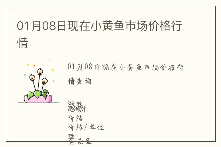 01月08日現在小黃魚市場價格行情