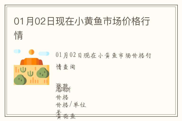01月02日現在小黃魚市場價格行情