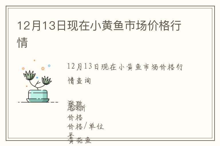 12月13日現(xiàn)在小黃魚市場(chǎng)價(jià)格行情