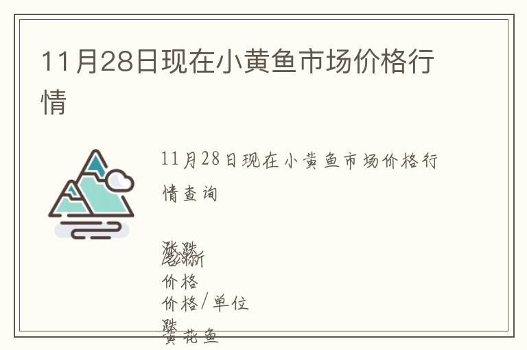 11月28日現在小黃魚市場價格行情
