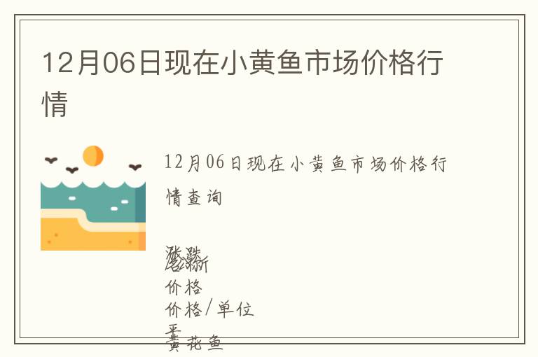 12月06日現在小黃魚市場價格行情