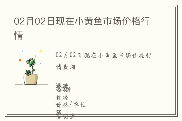 02月02日現在小黃魚市場價格行情