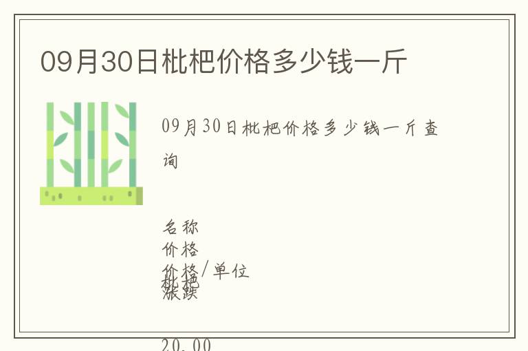 09月30日枇杷價格多少錢一斤