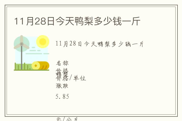 11月28日今天鴨梨多少錢一斤