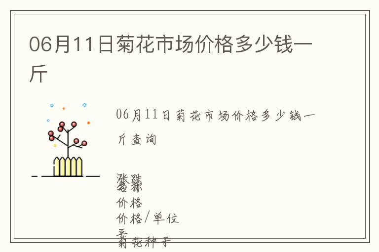 06月11日菊花市場價格多少錢一斤