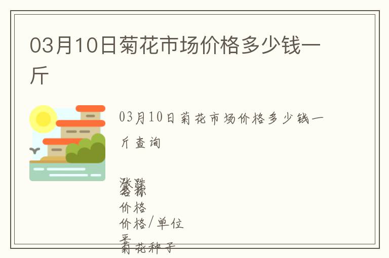 03月10日菊花市場價格多少錢一斤