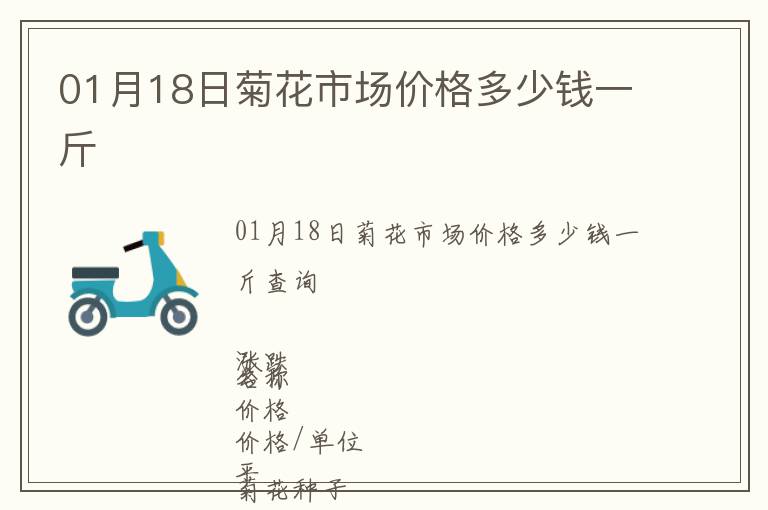 01月18日菊花市場價格多少錢一斤