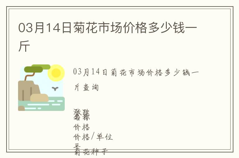 03月14日菊花市場(chǎng)價(jià)格多少錢一斤