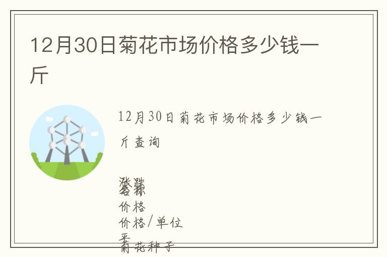 12月30日菊花市場價格多少錢一斤