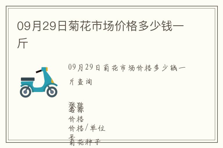 09月29日菊花市場價格多少錢一斤
