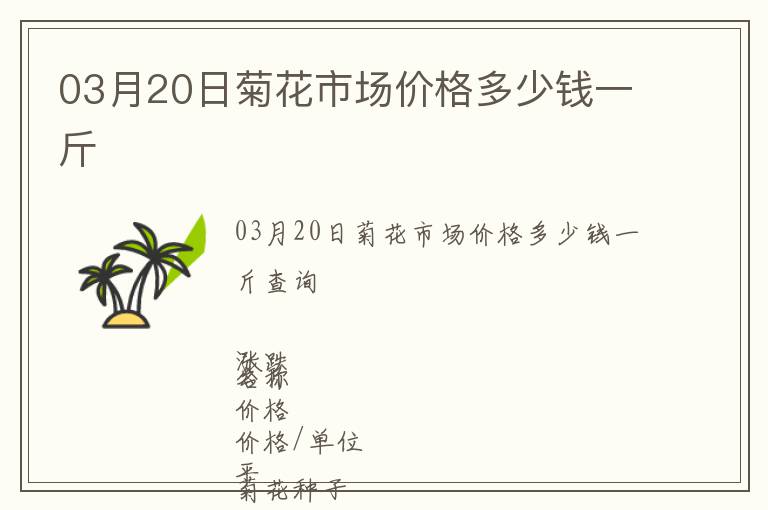 03月20日菊花市場價格多少錢一斤