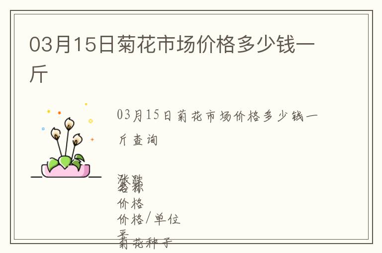 03月15日菊花市場價格多少錢一斤