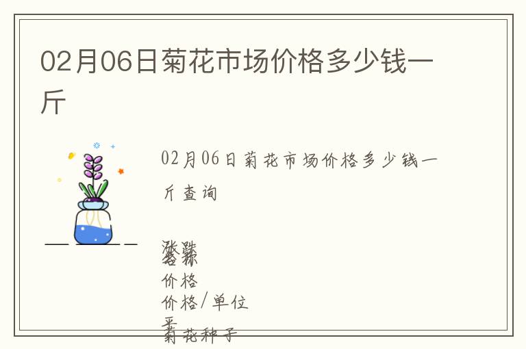 02月06日菊花市場(chǎng)價(jià)格多少錢(qián)一斤