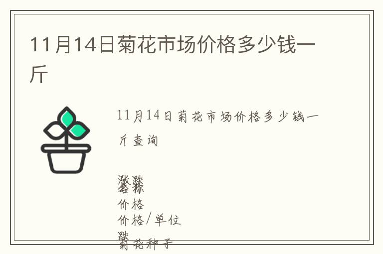11月14日菊花市場(chǎng)價(jià)格多少錢一斤