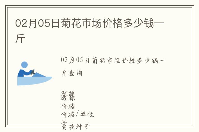 02月05日菊花市場價格多少錢一斤