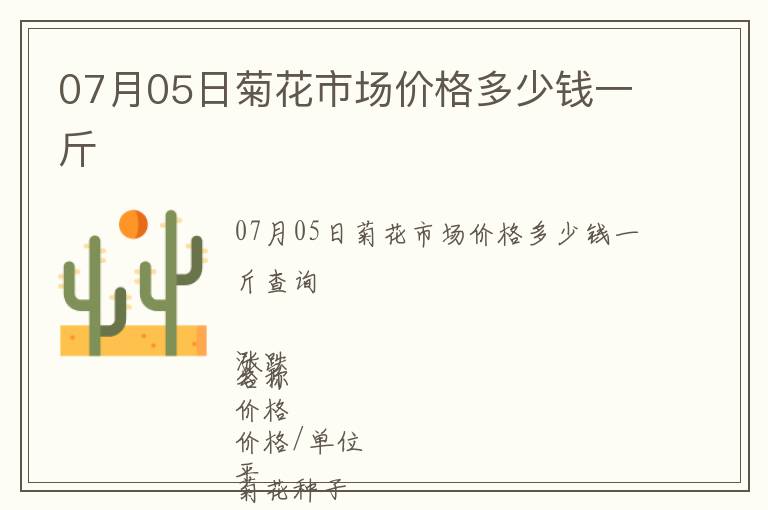 07月05日菊花市場價格多少錢一斤