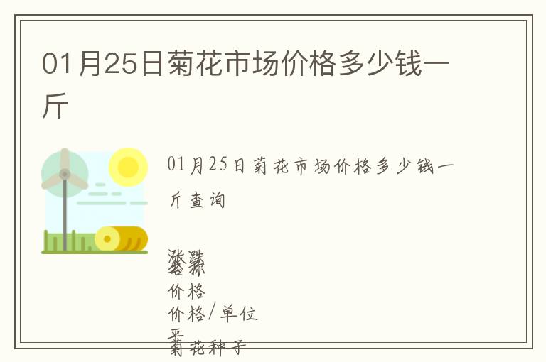 01月25日菊花市場價格多少錢一斤