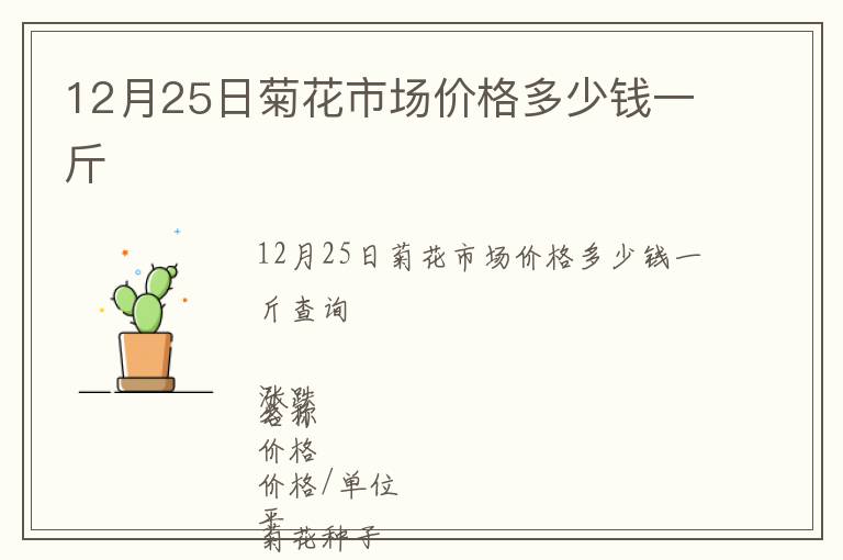 12月25日菊花市場(chǎng)價(jià)格多少錢一斤