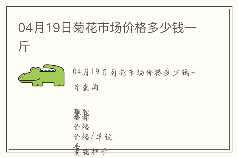 04月19日菊花市場(chǎng)價(jià)格多少錢(qián)一斤