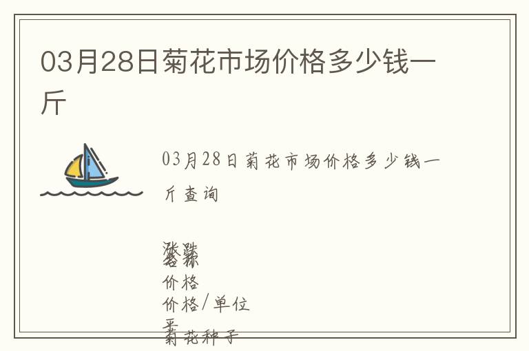 03月28日菊花市場價格多少錢一斤