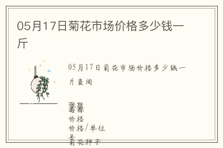 05月17日菊花市場價格多少錢一斤