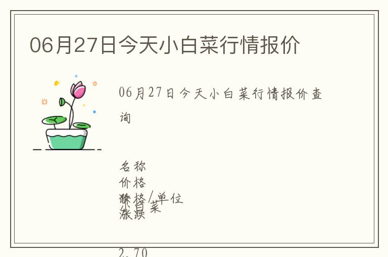 06月27日今天小白菜行情報價