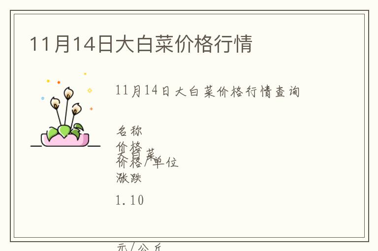 11月14日大白菜價格行情