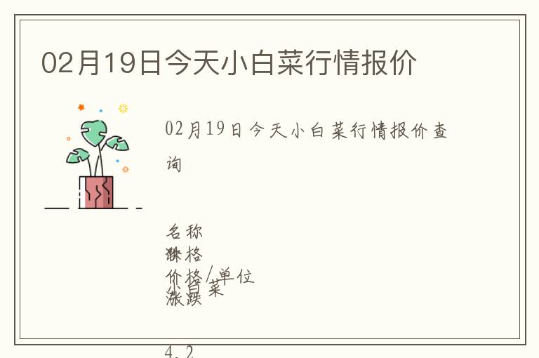 02月19日今天小白菜行情報(bào)價(jià)