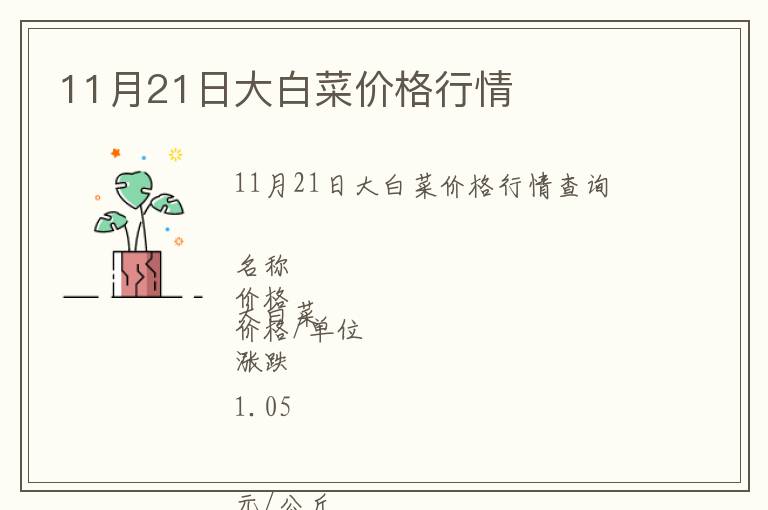 11月21日大白菜價格行情
