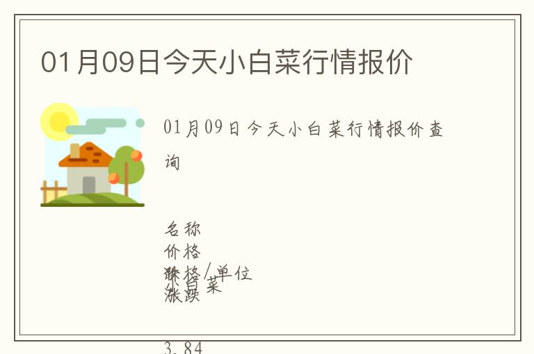 01月09日今天小白菜行情報(bào)價(jià)