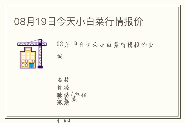 08月19日今天小白菜行情報價