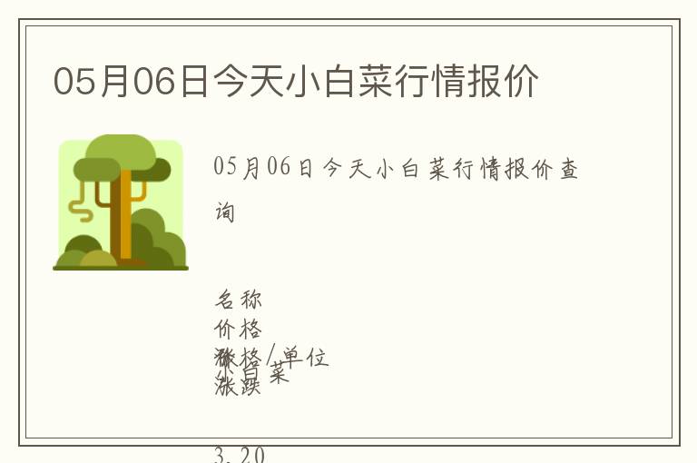 05月06日今天小白菜行情報價