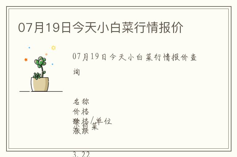 07月19日今天小白菜行情報價