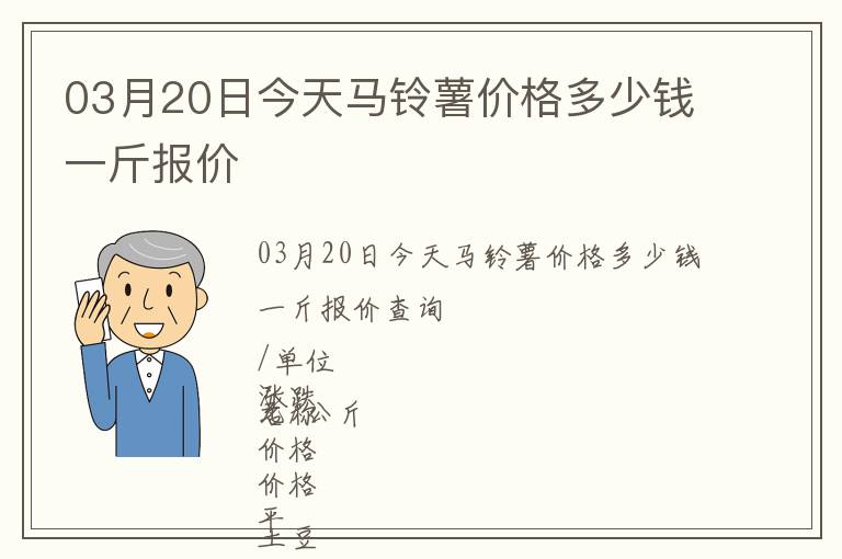 03月20日今天馬鈴薯價格多少錢一斤報價