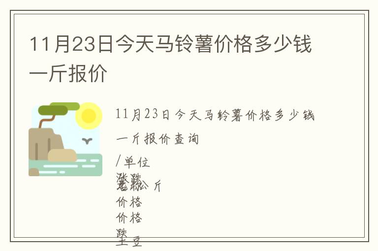 11月23日今天馬鈴薯價格多少錢一斤報價