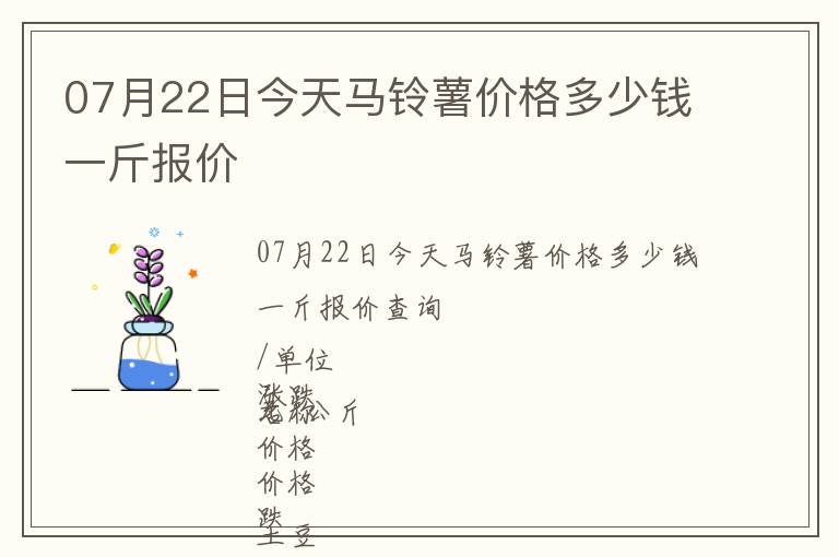 07月22日今天馬鈴薯價(jià)格多少錢一斤報(bào)價(jià)