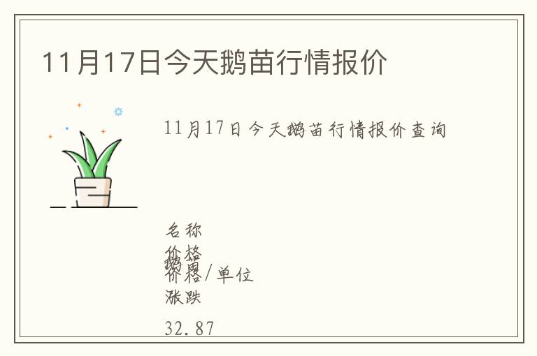 11月17日今天鵝苗行情報價