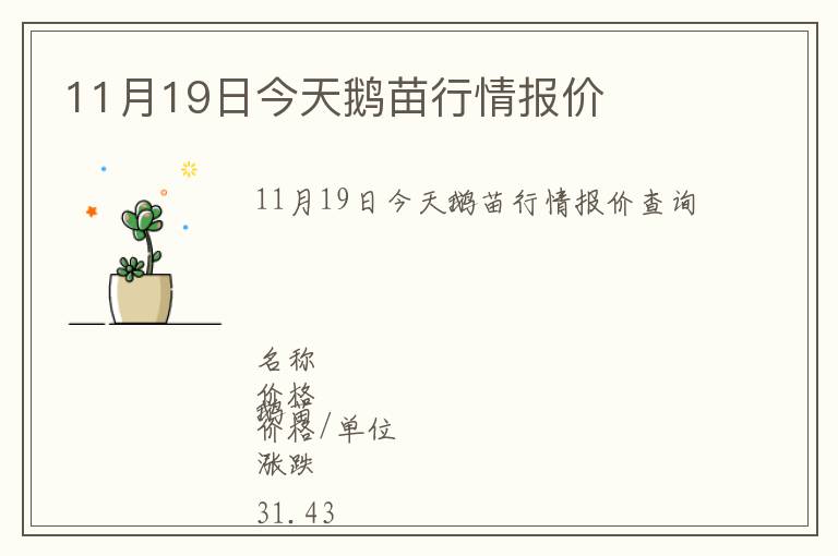 11月19日今天鵝苗行情報價