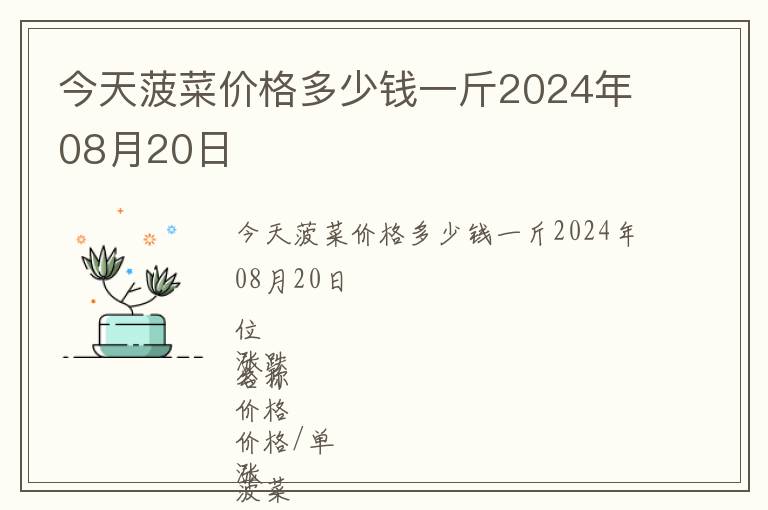 今天菠菜價格多少錢一斤2024年08月20日